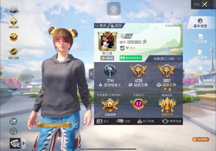 和平精英辅助【火焰鸟直装V6.0终极修复版】射线透视 准星聚点 空投透视 人物变大 显示手持 透视雷达