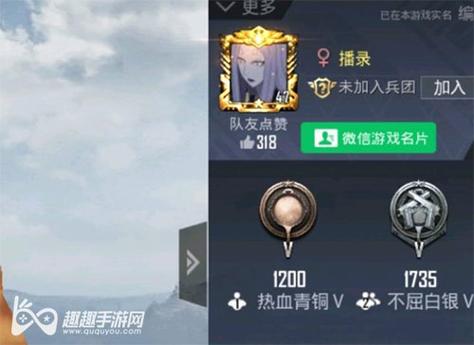 和平精英外挂【虎牙直装】人物透视 锁死自瞄 子弹追踪 雷达预警 掩体变色 物资显示 载具显示