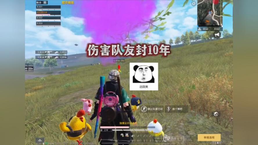 和平精英《魔法》辅助